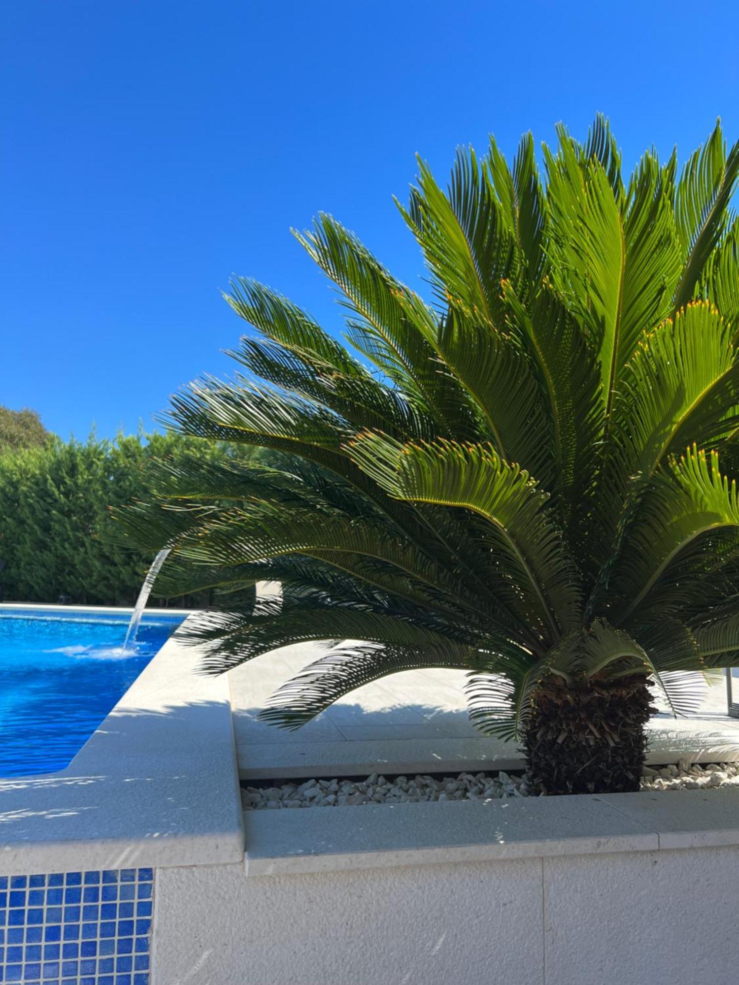 Holiday Luxury Resort Sundance Trogir Ngoại thất bức ảnh